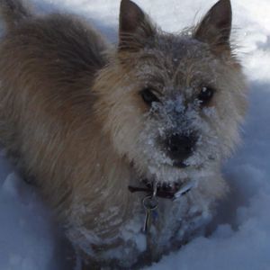 Meet your Posher, Janette